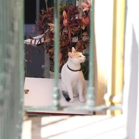 Martim Vaz Ii - Downtown Apartmán