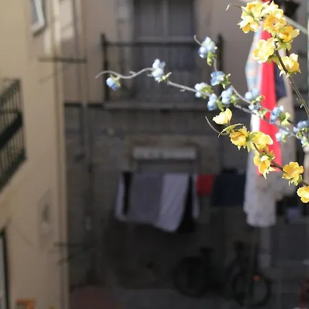 Martim Vaz Ii - Downtown * Lisboa